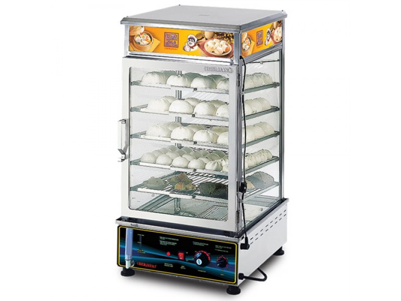 elec steam machine esm55-800x600
